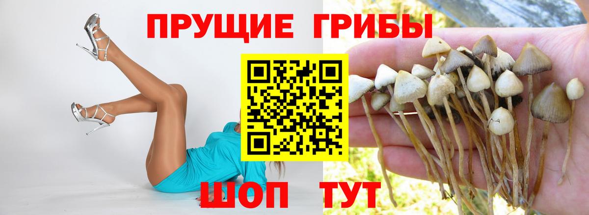 Бузулук  Псилоцибиновые грибы Psilocybe  Псилоцибиновые грибы ЛСД  хочу наркоту  Вход с VPN 